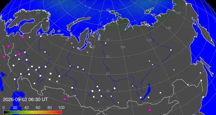 Нажмите для просмотра видео