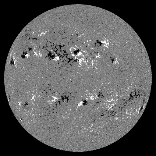 Solar Magnetic Fields