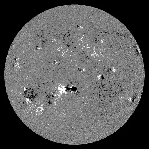 Solar Magnetic Fields