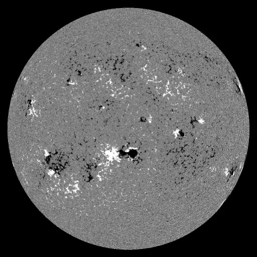 Solar Magnetic Fields