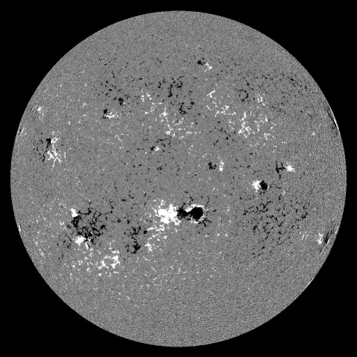 Solar Magnetic Fields