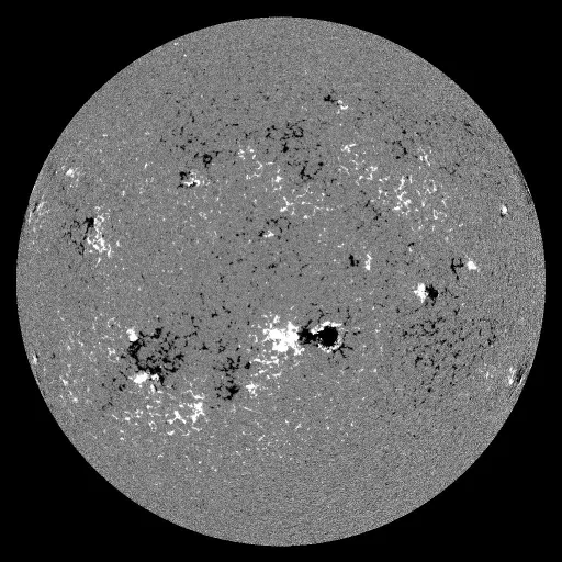 Solar Magnetic Fields