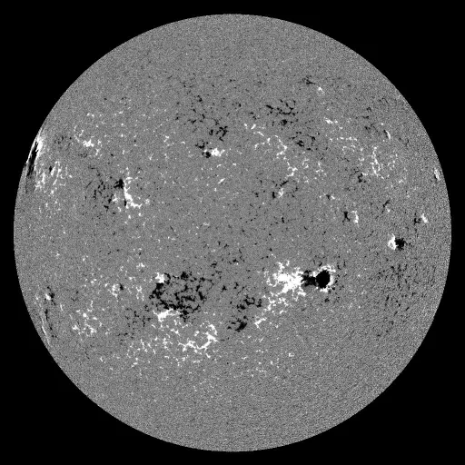 Solar Magnetic Fields