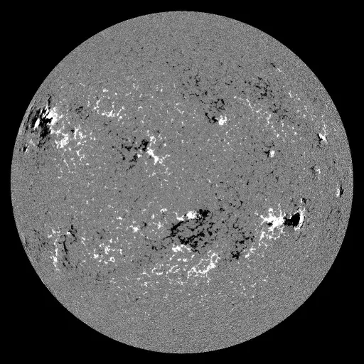 Solar Magnetic Fields