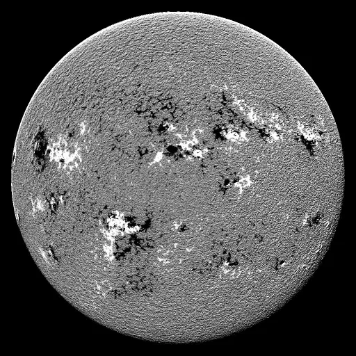 Solar Magnetic Fields