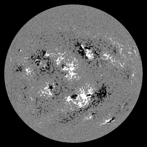 Solar Magnetic Fields