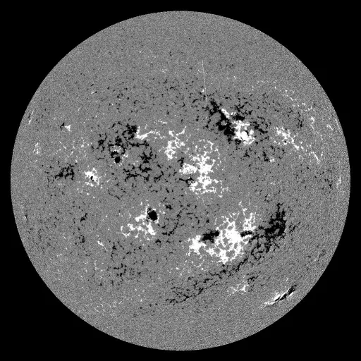 Solar Magnetic Fields