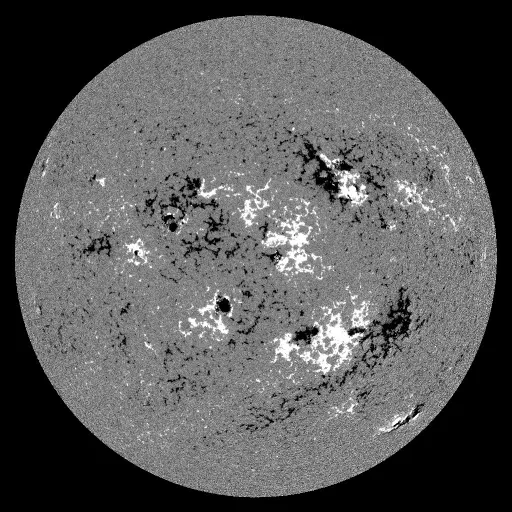 Solar Magnetic Fields