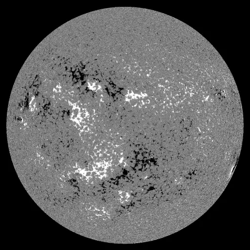 Solar Magnetic Fields