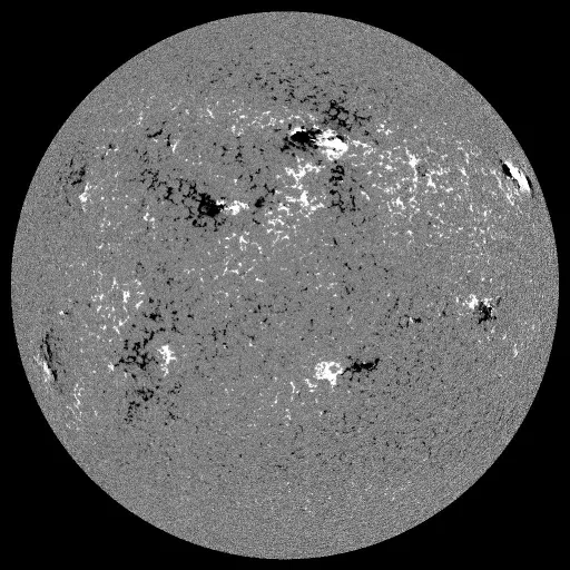 Solar Magnetic Fields