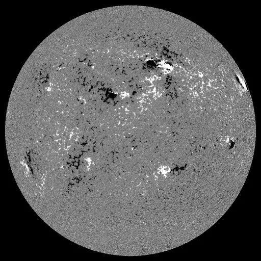 Solar Magnetic Fields