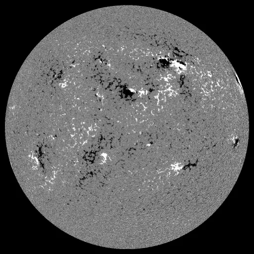 Solar Magnetic Fields