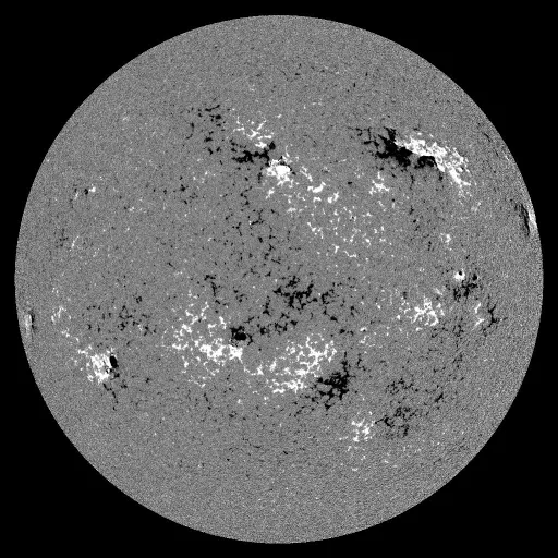 Solar Magnetic Fields