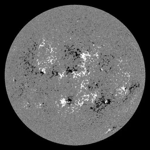 Solar Magnetic Fields