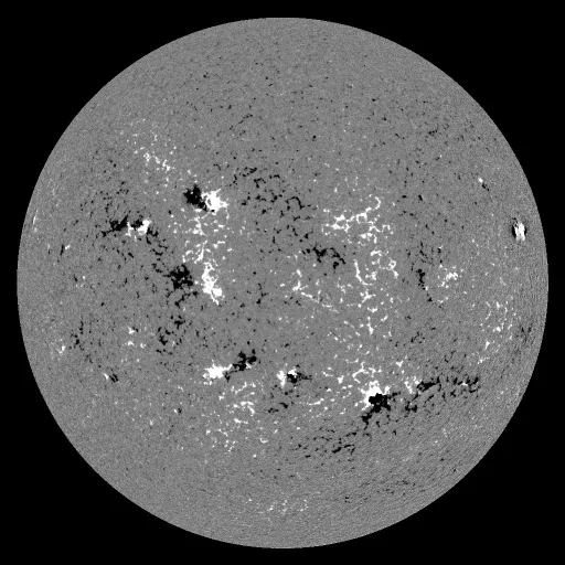 Solar Magnetic Fields