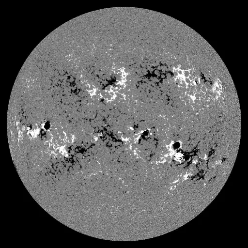 Solar Magnetic Fields