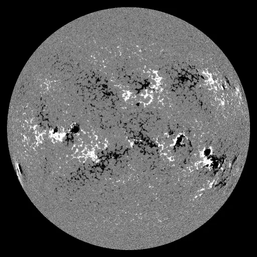 Solar Magnetic Fields