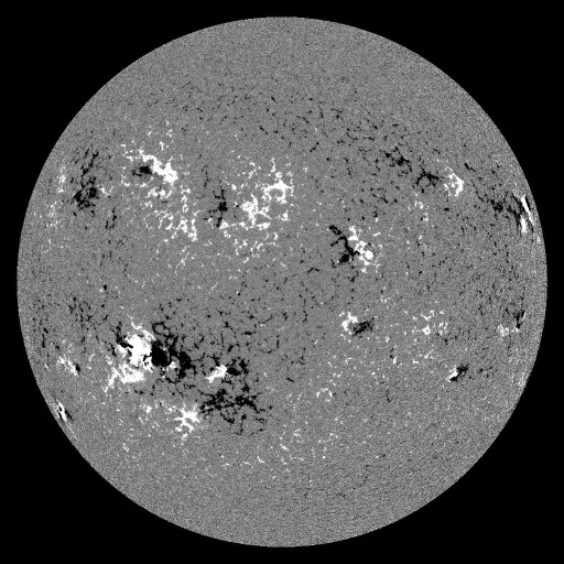 Solar Magnetic Fields