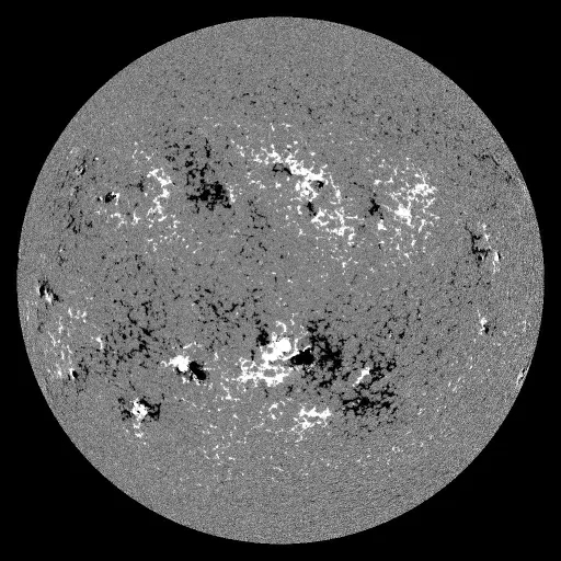 Solar Magnetic Fields