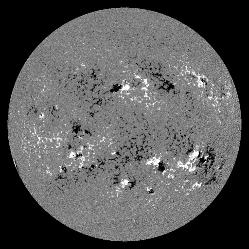 Solar Magnetic Fields