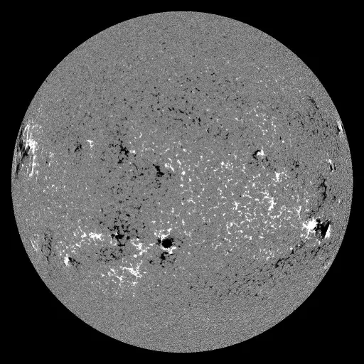 Solar Magnetic Fields