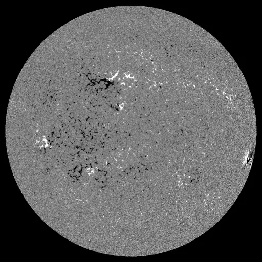 Solar Magnetic Fields