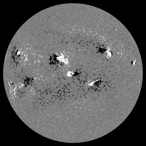 Solar Magnetic Fields