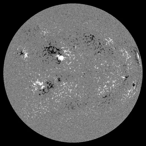 Solar Magnetic Fields