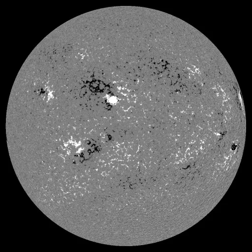 Solar Magnetic Fields