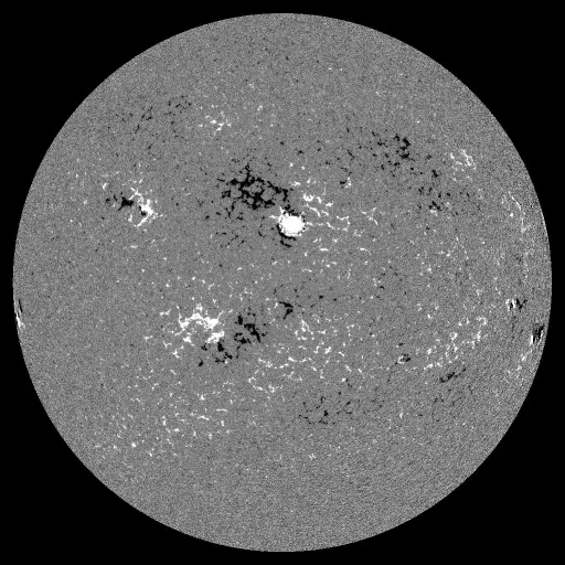 Solar Magnetic Fields