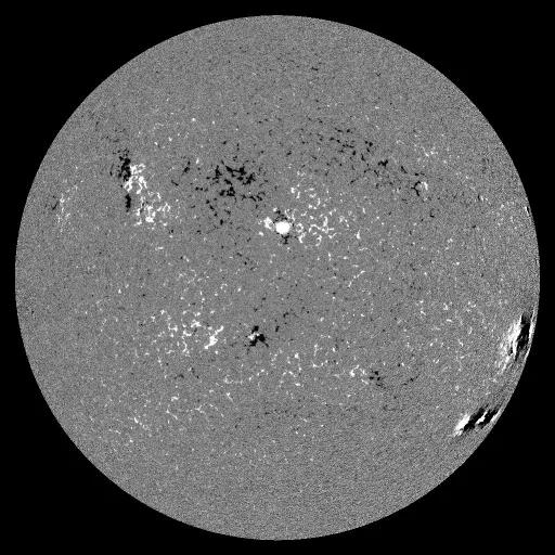 Solar Magnetic Fields
