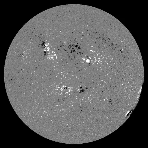 Solar Magnetic Fields