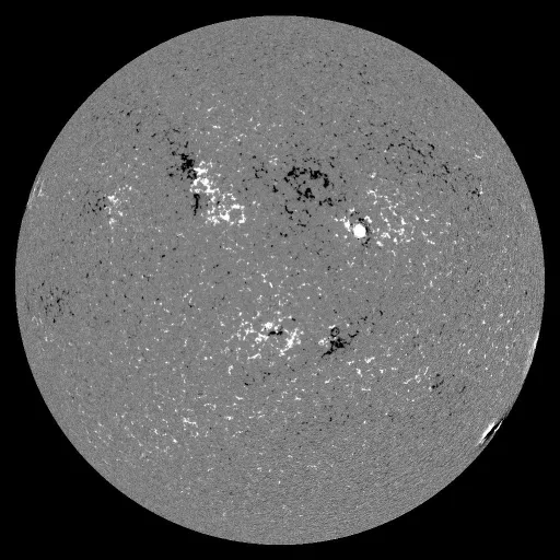 Solar Magnetic Fields