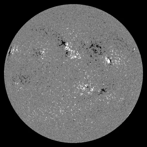 Solar Magnetic Fields