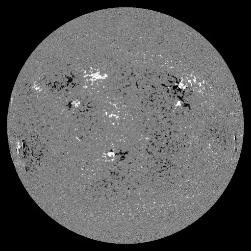 Solar Magnetic Fields