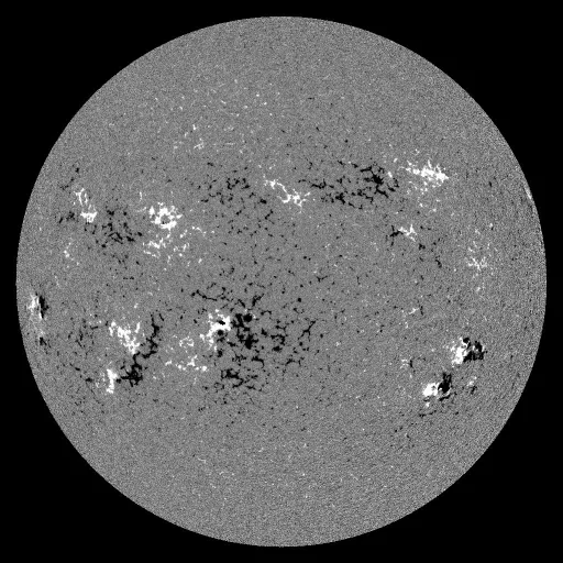 Solar Magnetic Fields