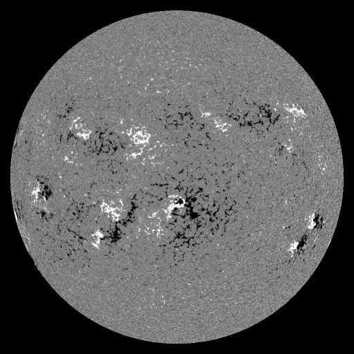 Solar Magnetic Fields