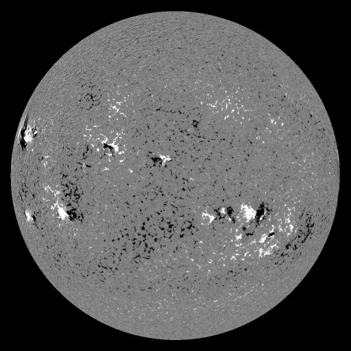 Solar Magnetic Fields