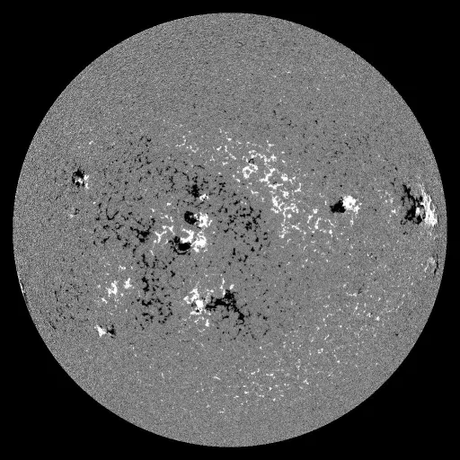 Solar Magnetic Fields