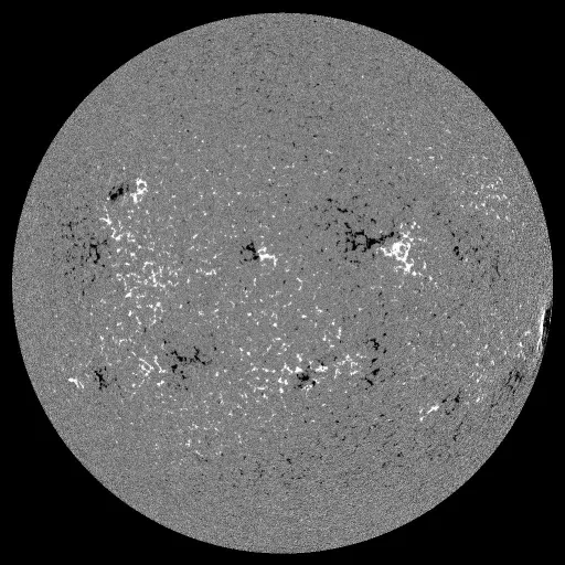 Solar Magnetic Fields