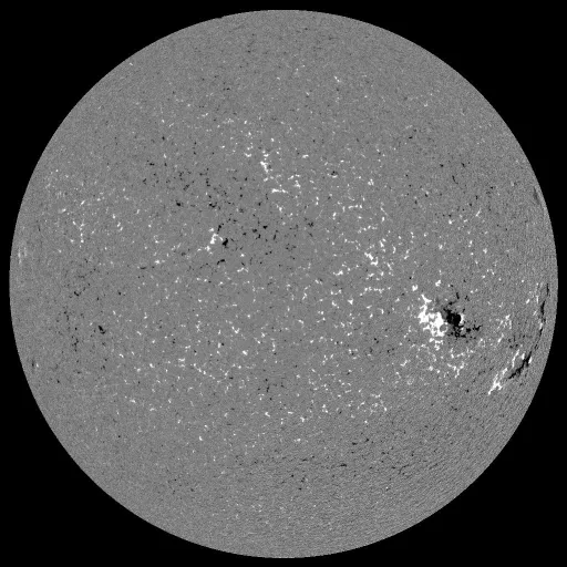 Solar Magnetic Fields