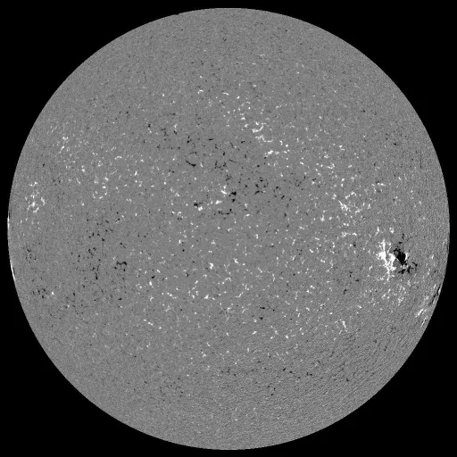 Solar Magnetic Fields