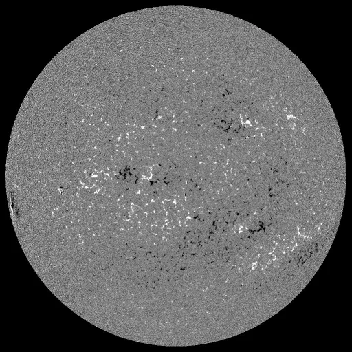 Solar Magnetic Fields
