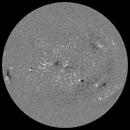 Solar Magnetic Fields
