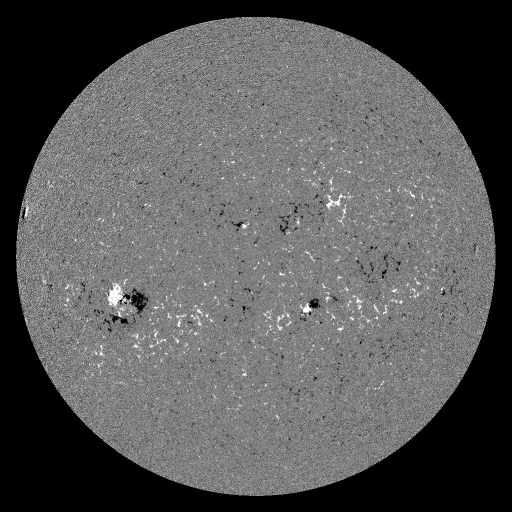 Solar Magnetic Fields