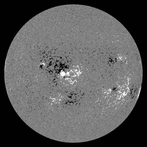 Solar Magnetic Fields