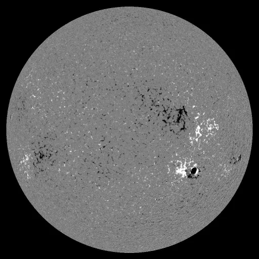 Solar Magnetic Fields