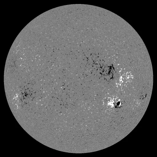 Solar Magnetic Fields