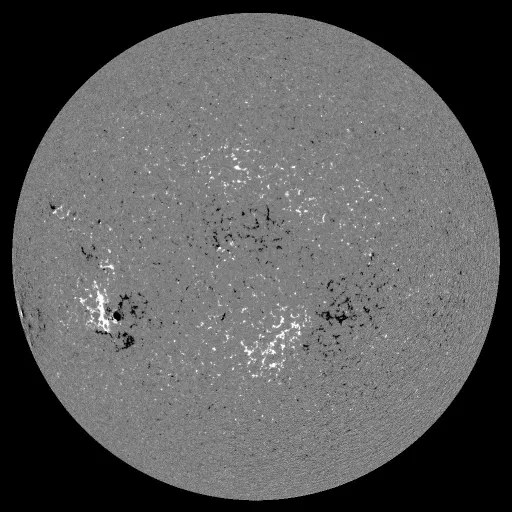 Solar Magnetic Fields
