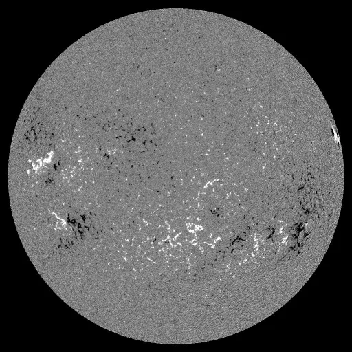 Solar Magnetic Fields